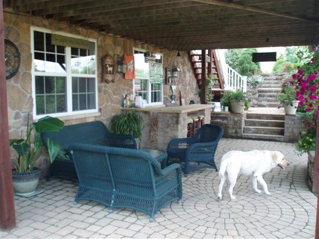 patio with bar and grill (and dog!)